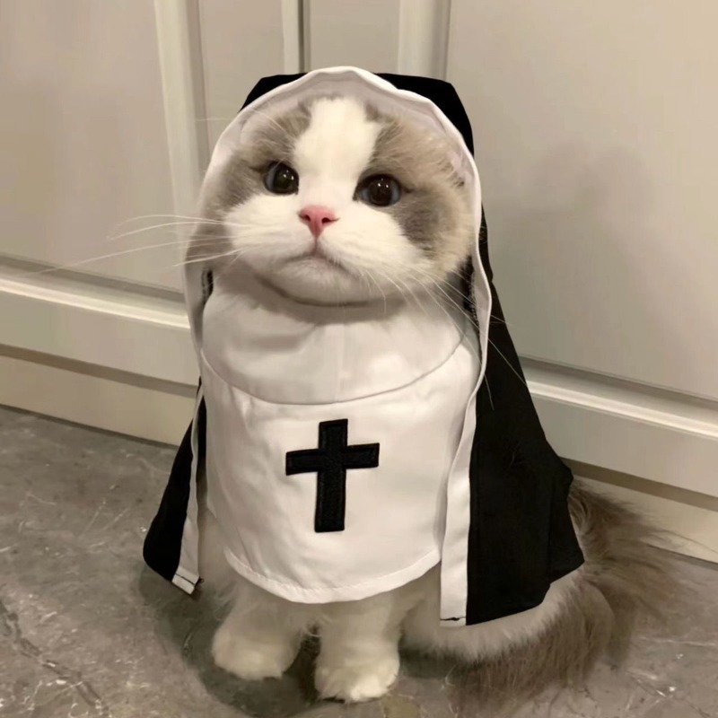 Fantasia de freira para gato e - Anime Cosplay Tiktok avaliação e preço